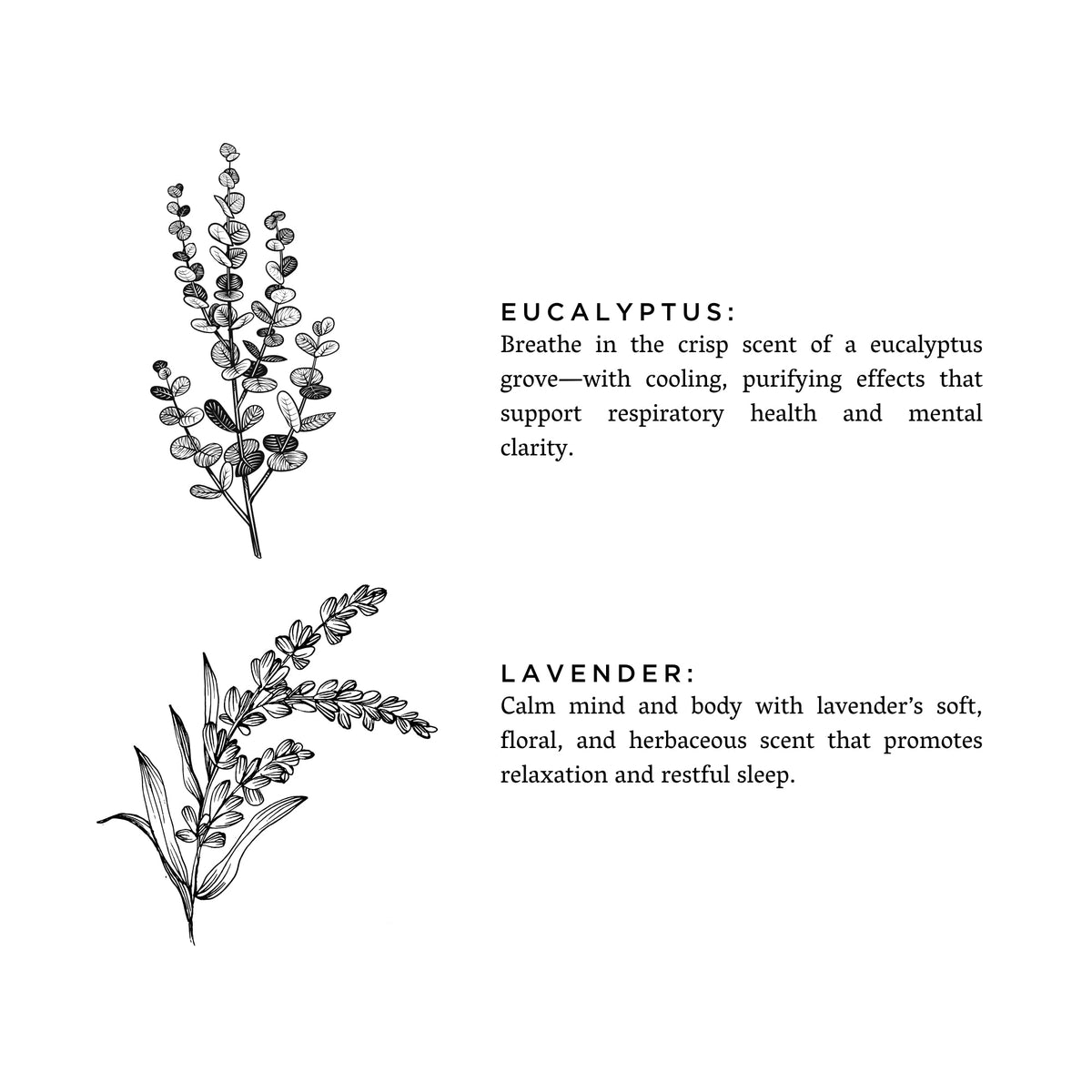 Eucalyptus + Lavender Signature Soy Candle