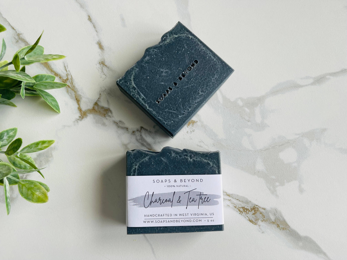 Activated Charcoal & Tea Tree Soap Bar