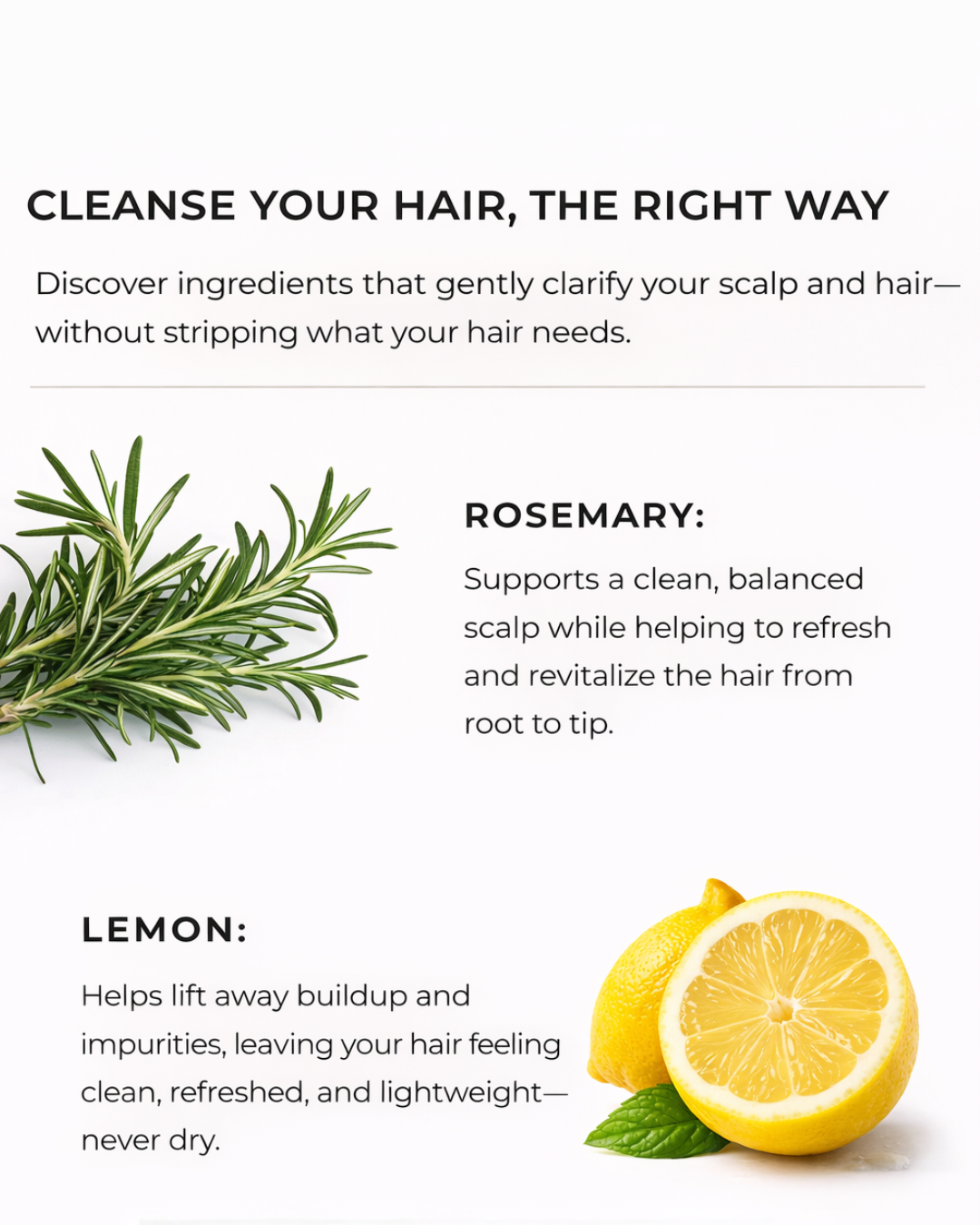 Lemon & Rosemary Clarifying Shampoo